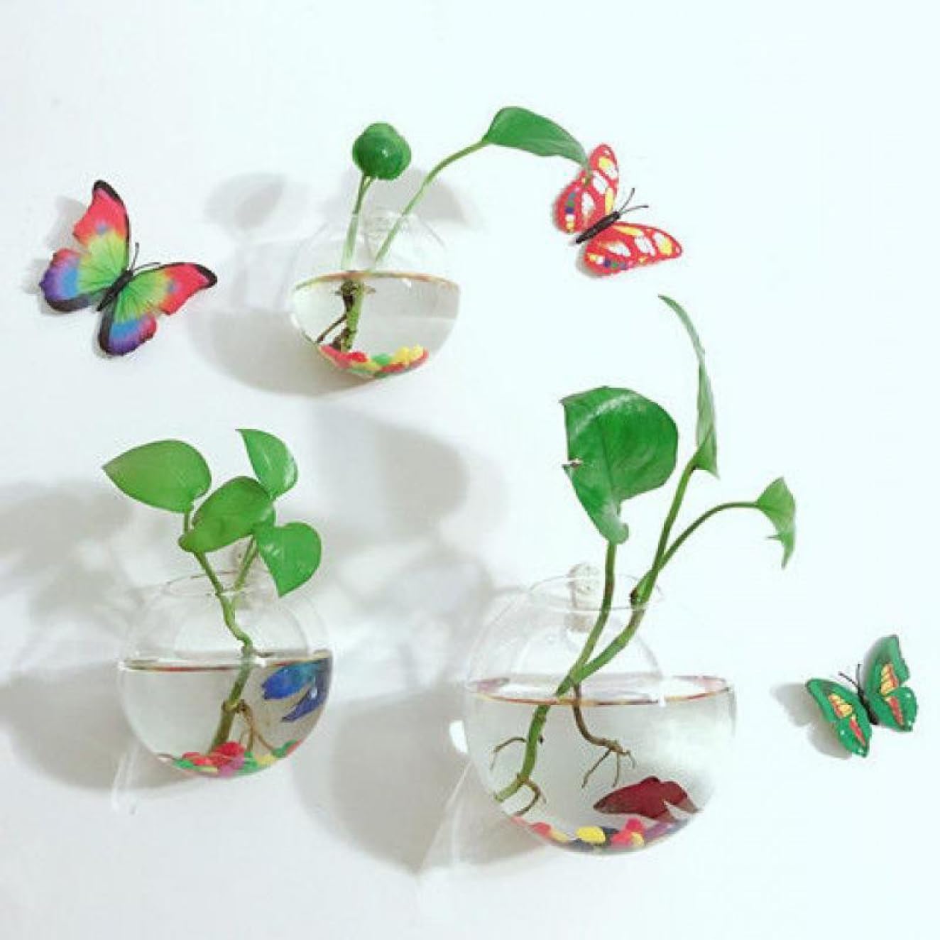 Amazon.co.jp: YJFFQ かびん ガラス製 壁掛け花瓶 ガラスベース モダン